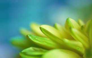 Photo Pastel colors