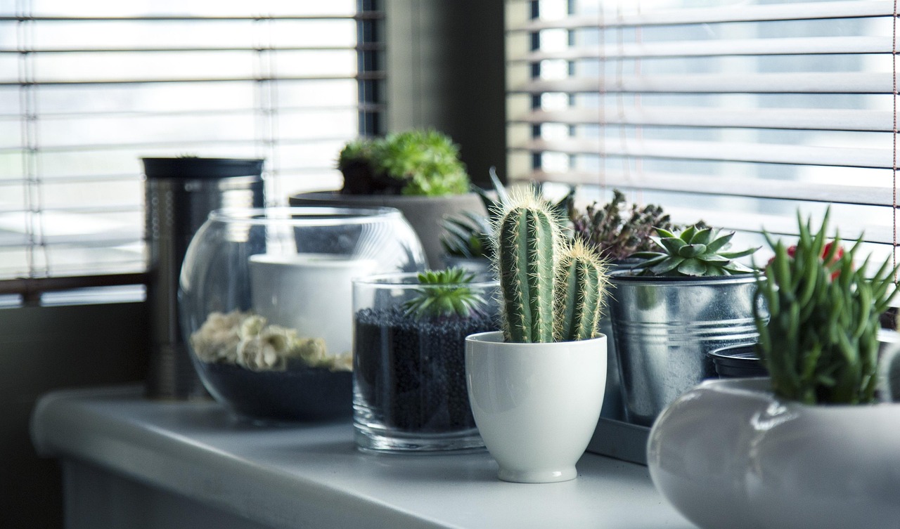 Planten rond een biofiel raam met zonlicht.
