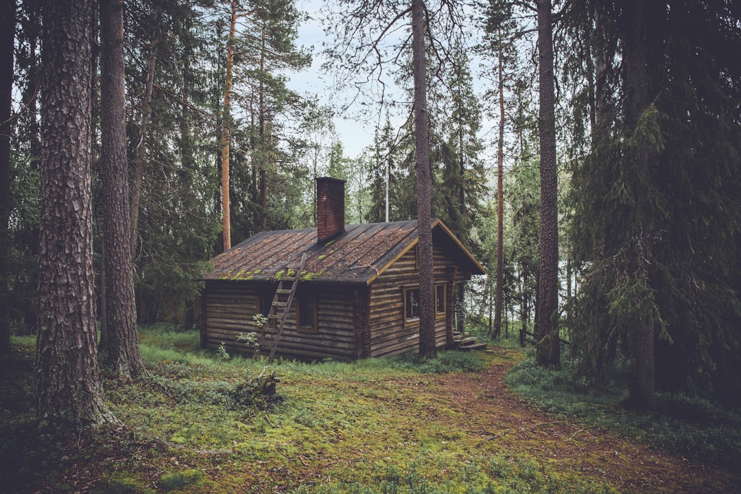 Gezellig ingericht Scandinavisch zomerhuis met houten accenten.