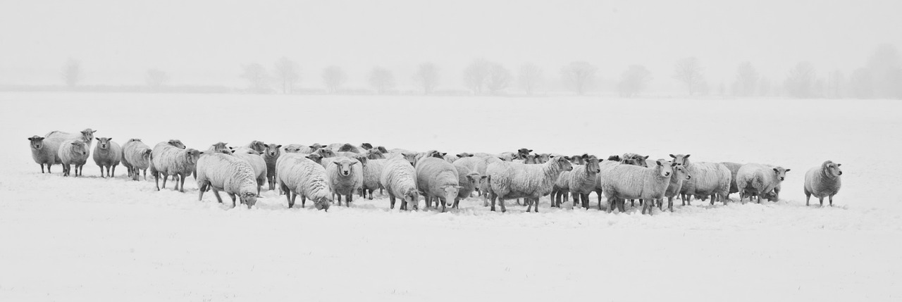 Heldere Scandinavische winterkleuren met warme accenten.