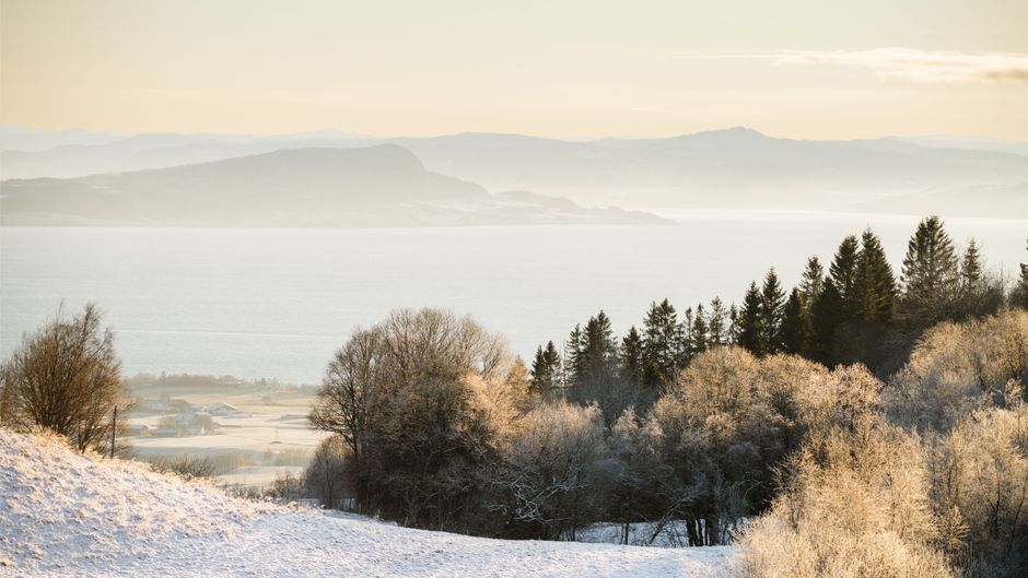 Neutrale aardetinten in Scandinavisch kleurenpalet.