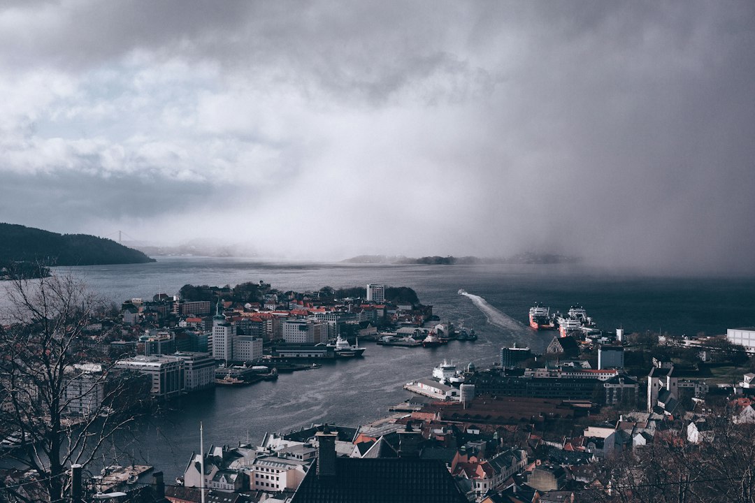 Scandinavische winterkleuren palet met zachte blauwtinten.